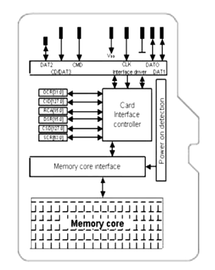 Microsd Card Pinout Features Datasheet