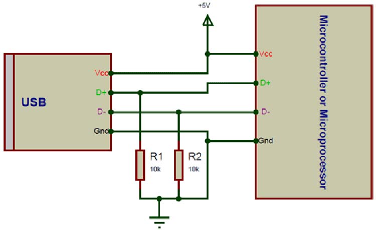 USB TYPE-A Male Connector Pinout, Datasheet, Connection and Specs