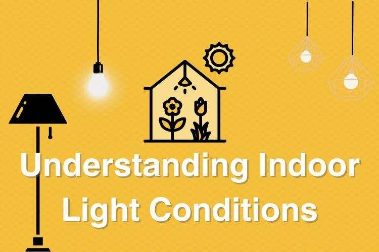 Understanding Indoor Light Conditions