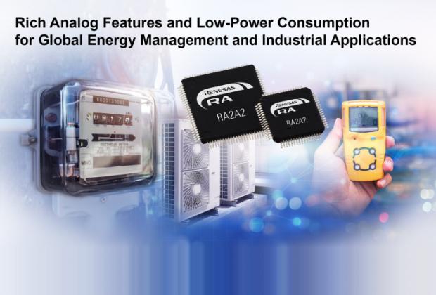 RA2A2 Microcontroller Group