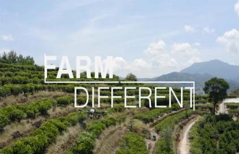 Farm Different Smart Agriculture Video Series from Digi-Key Electronics