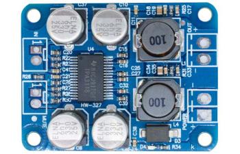 TPA3118 Mono Amplifier Module